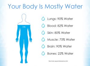 hydratatie lichaam